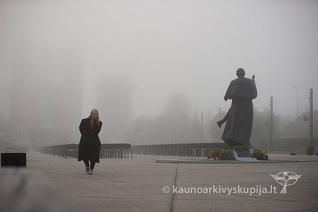 20160913 silines 0395 ms