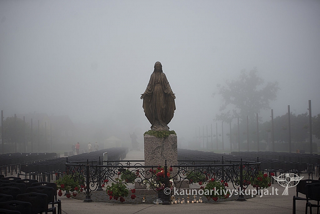 20160913 silines 0397 ms