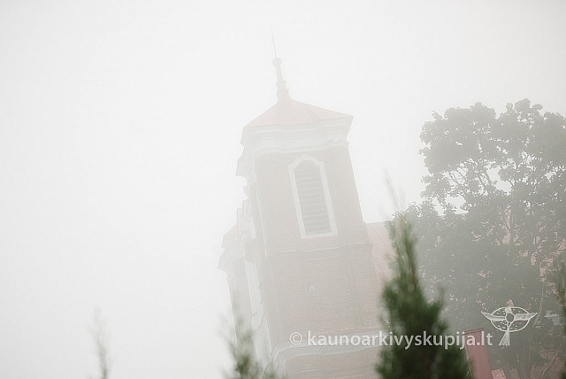 20160913 silines 0401 ms