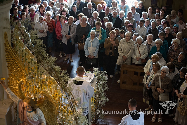 20160913 silines 0407 ms