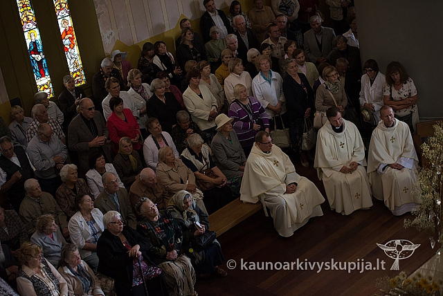 20160913 silines 0408 ms