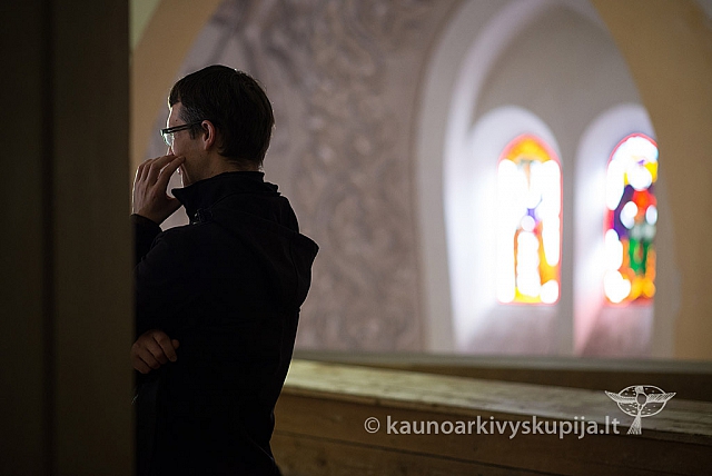 20160913 silines 0432 ms