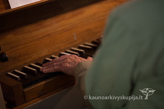 20160913 silines 0435 ms