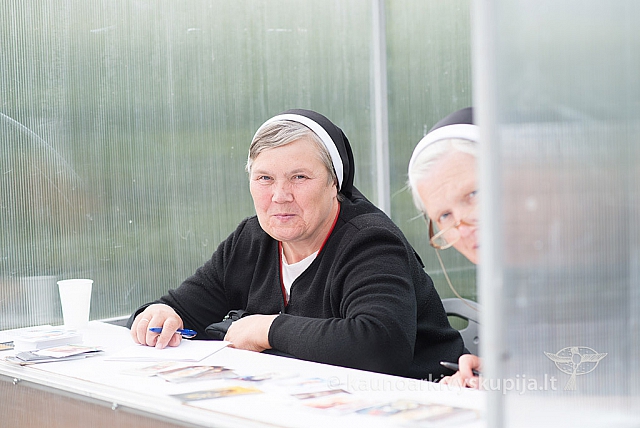 20160913 silines 0470 ms