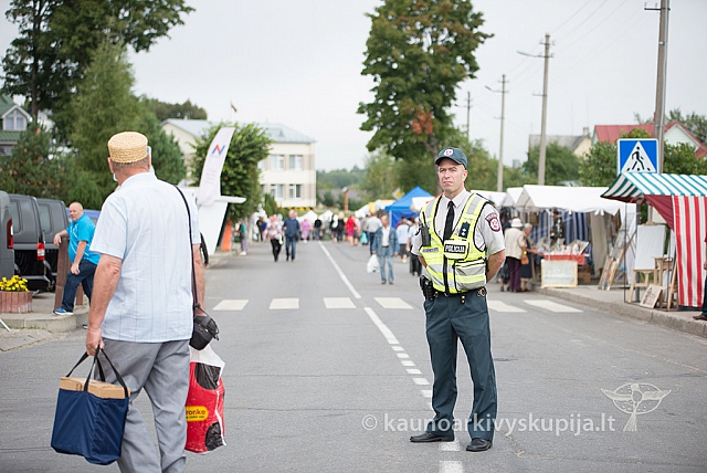 20160913 silines 0531 ms