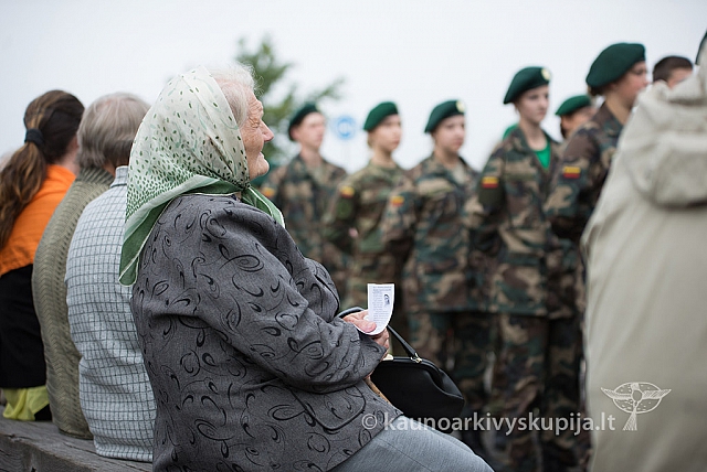 20160913 silines 0625 ms