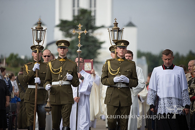 20160913 silines 0666 ms