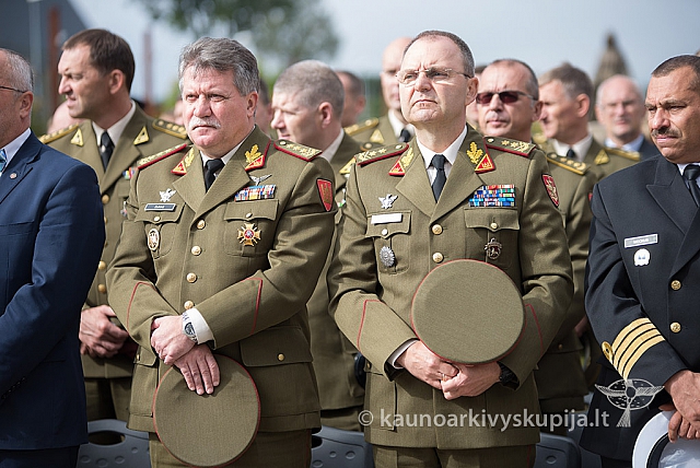 20160913 silines 0676 ms