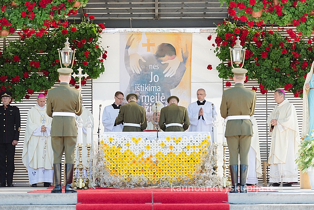 20160913 silines 0709 ms