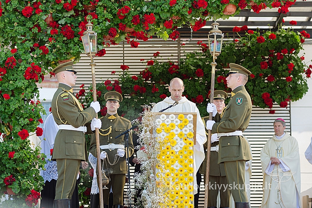 20160913 silines 0716 ms