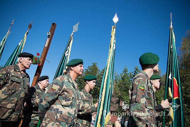 20160913 silines 0765 ms