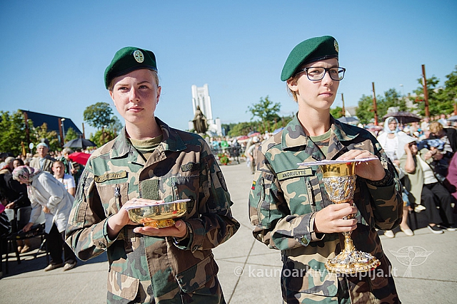 20160913 silines 0777 ms