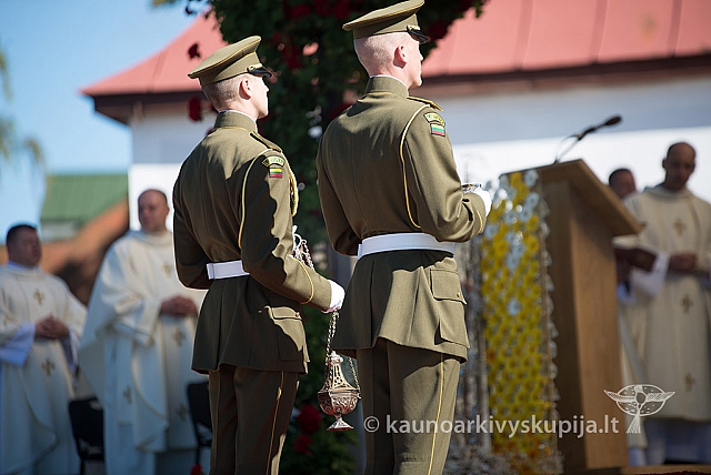 20160913 silines 0805 ms