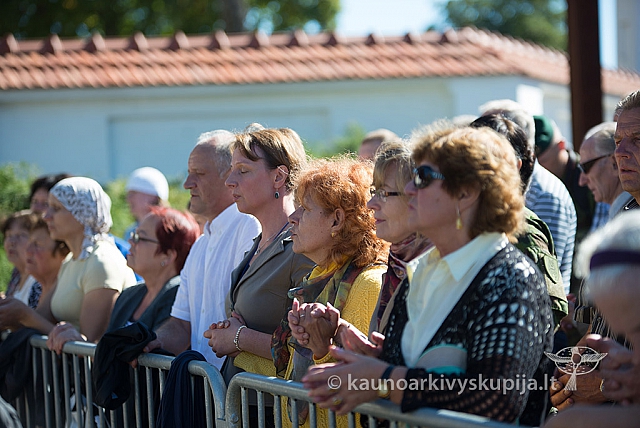 20160913 silines 0810 ms