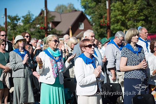 20160913 silines 0815 ms