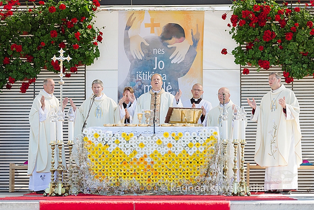 20160913 silines 0818 ms