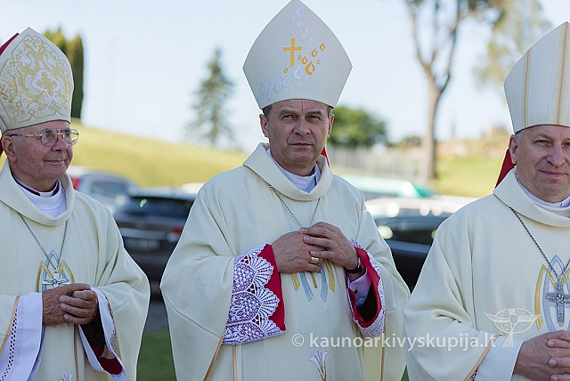 20160914 silines 1321 ms