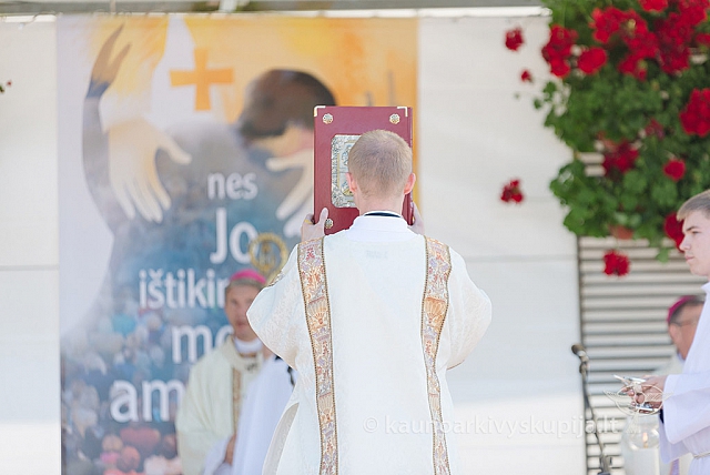 20160914 silines 1394 ms