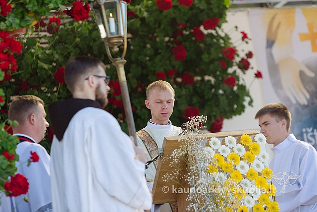 20160914 silines 1396 ms