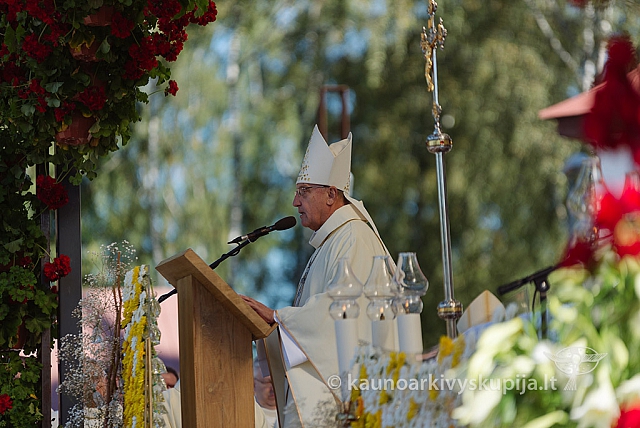 20160914 silines 1409 ms