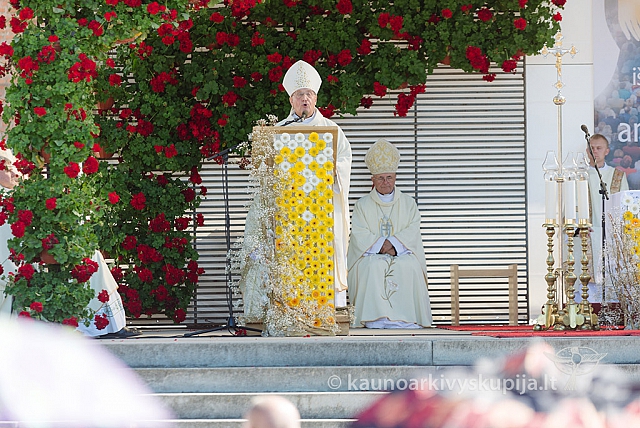 20160914 silines 1433 ms