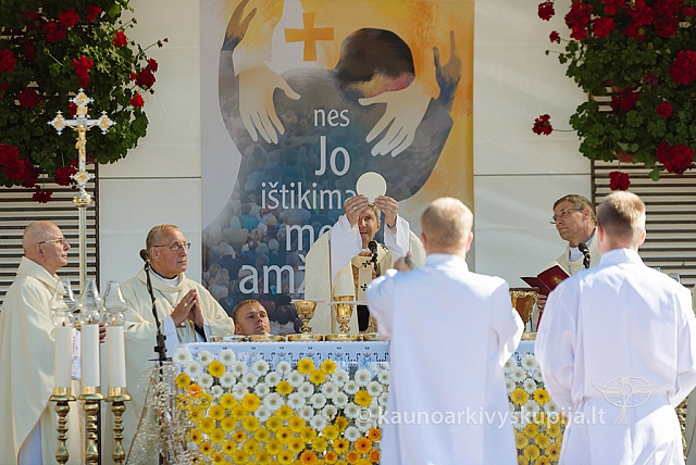 20160914 silines 1463 ms