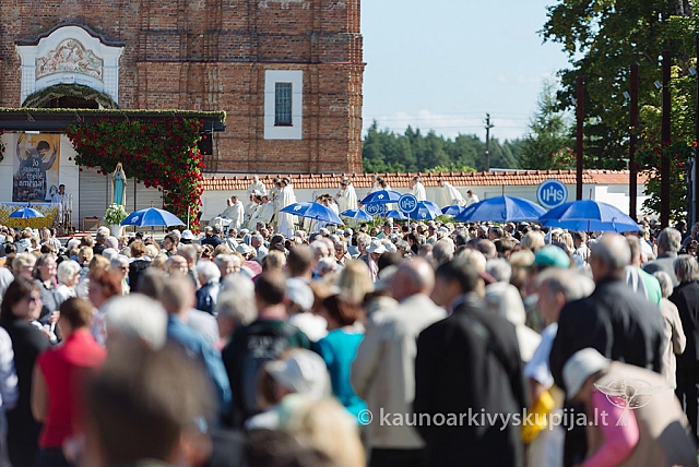 20160914 silines 1488 ms