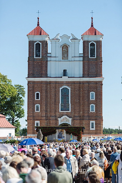 20160914 silines 1493 ms