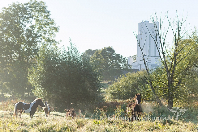 20160915 silines 1881 ms