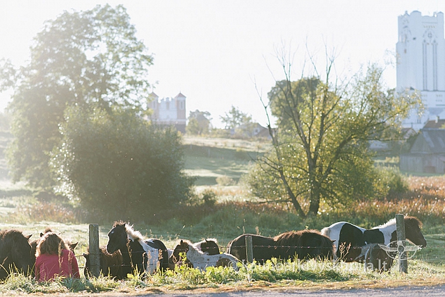 20160915 silines 1893 ms