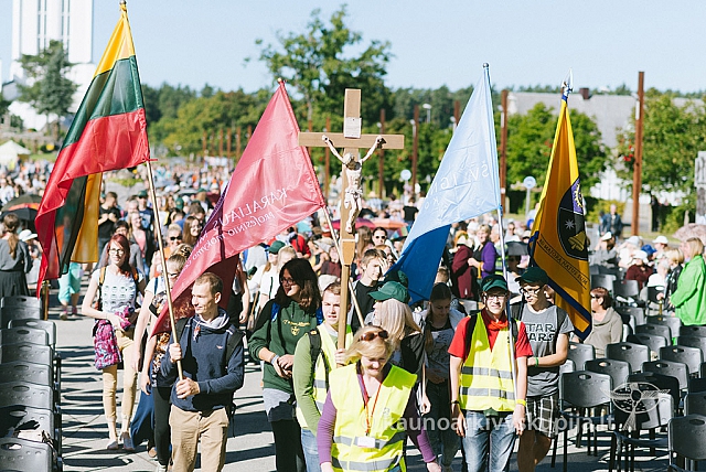 20160915 silines 1962 ms