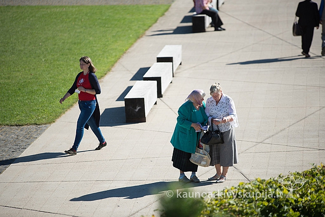 20160915 silines 1984 ms