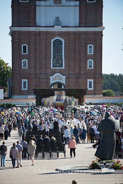 20160915 silines 1990 ms