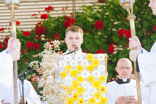 20160915 silines 2016 ms