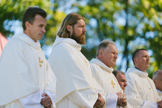 20160915 silines 2019 ms