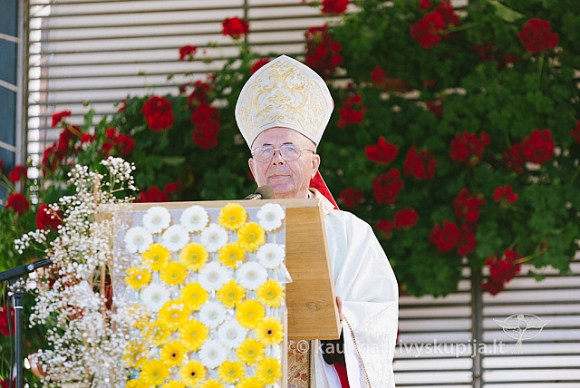 20160915 silines 2024 ms