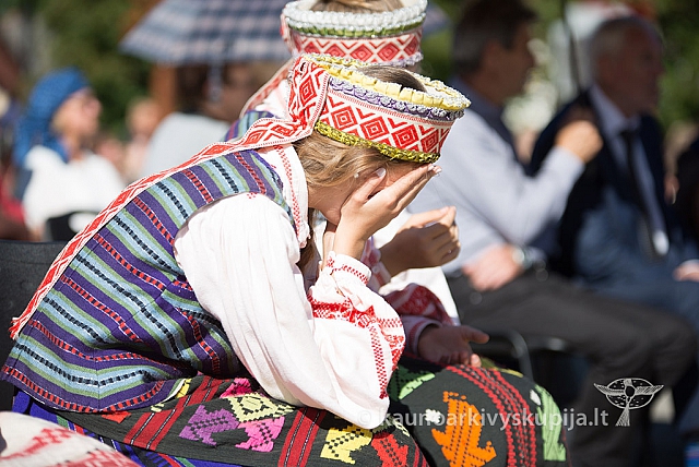 20160915 silines 2030 ms