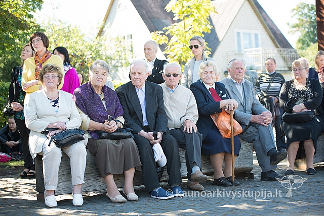 20160915 silines 2032 ms