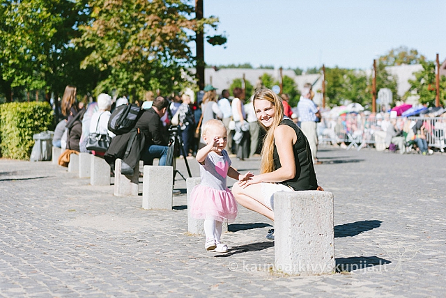 20160915 silines 2040 ms