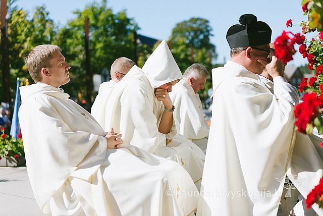 20160915 silines 2056 ms