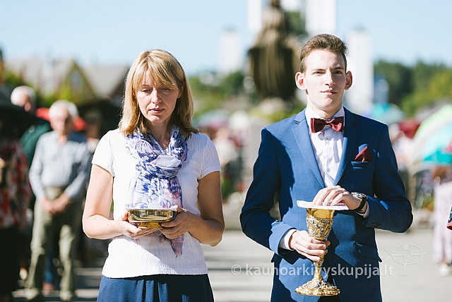 20160915 silines 2068 ms