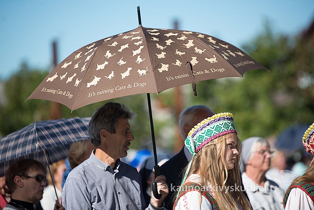 20160915 silines 2069 ms