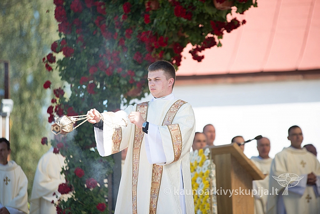 20160915 silines 2077 ms