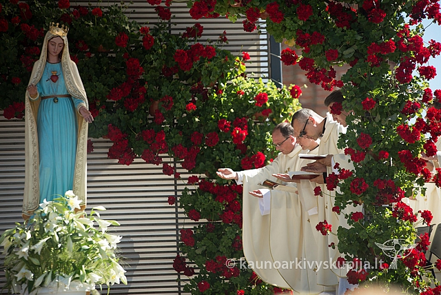 20160915 silines 2085 ms