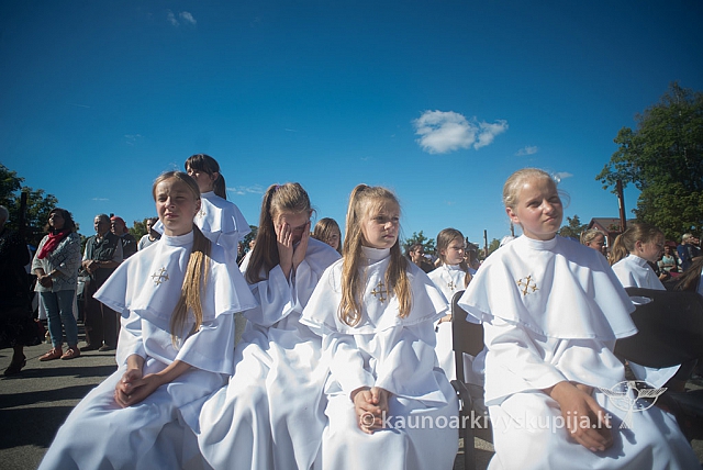 20160915 silines 2111 ms