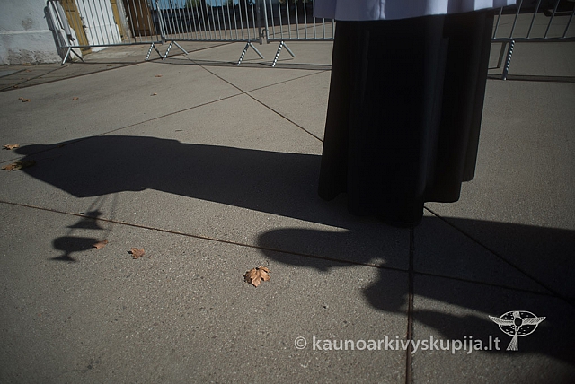 20160915 silines 2151 ms