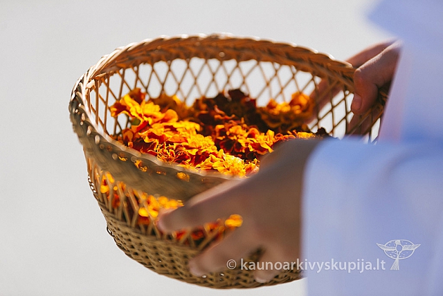 20160915 silines 2171 ms