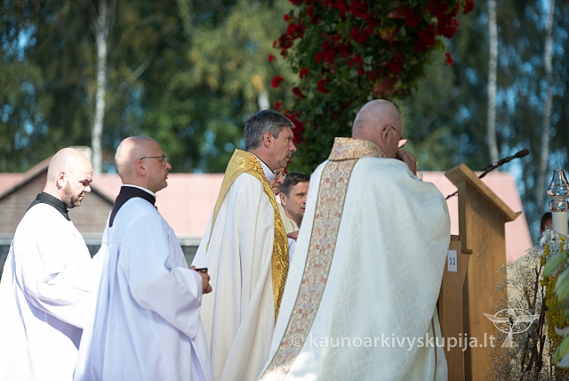 20160915 silines 2178 ms