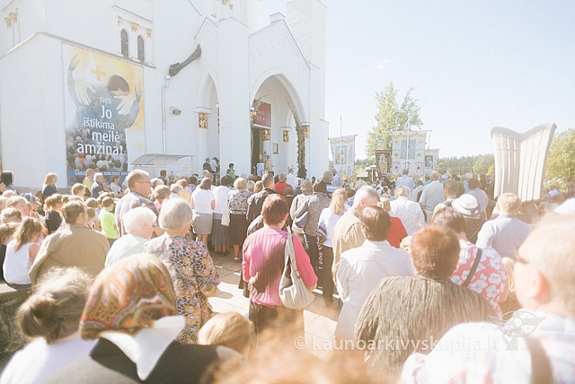 20160915 silines 2255 ms