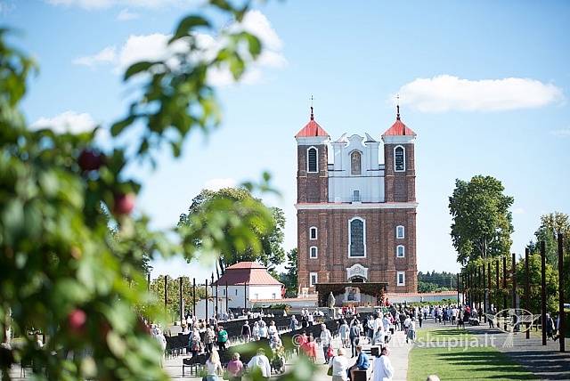 20160915 silines 2276 ms